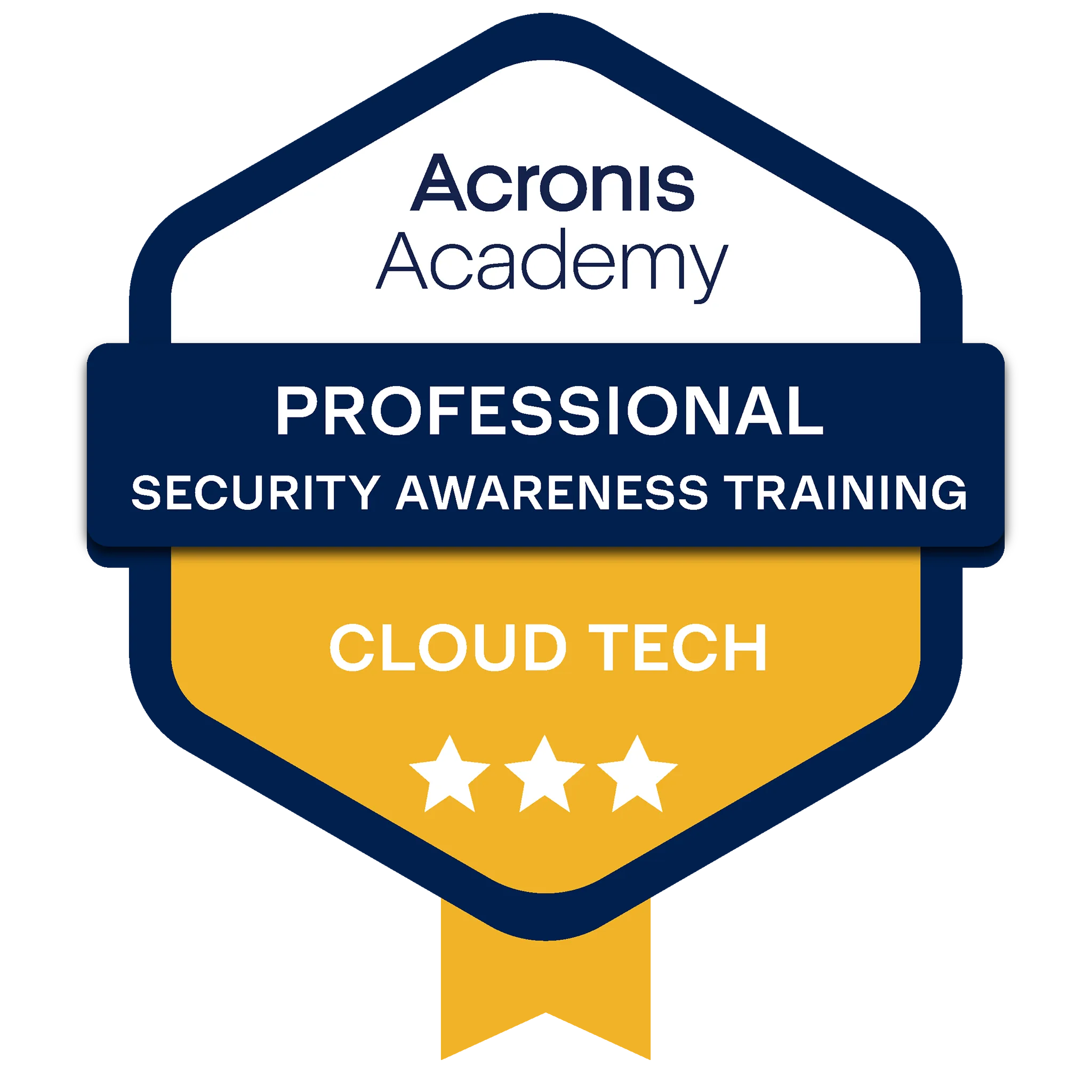 Acronis Professional SAT Badge